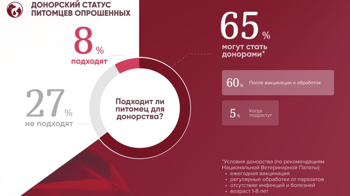 Донорство крови животных: представили данные исследования