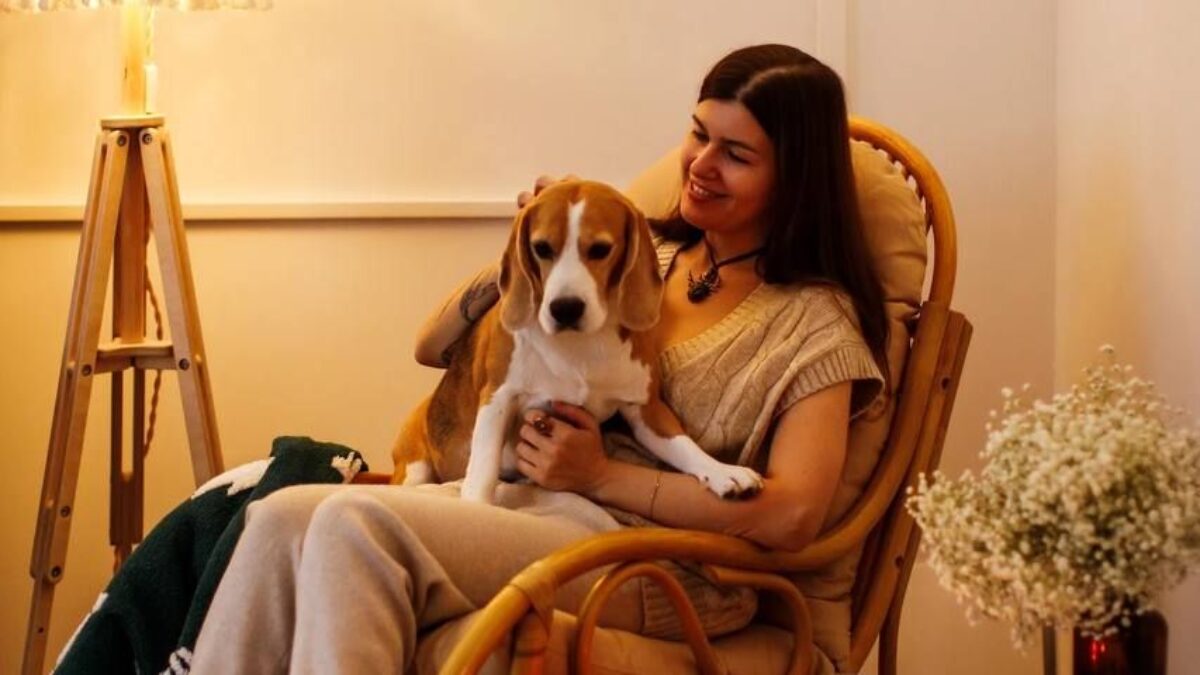 История собаки с онкологией: бигль Петька борется уже год