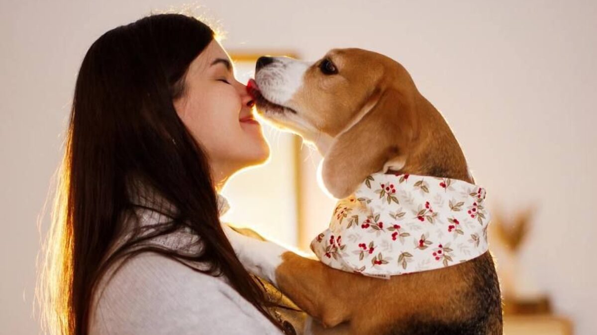 «Побороться ещё за шесть месяцев»: история семьи, которая отказалась усыплять собаку, больную раком