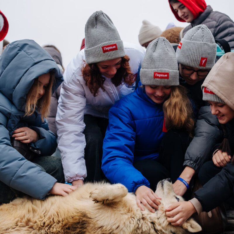 Открыта регистрация на Всероссийский добровольческий слёт Движения Первых