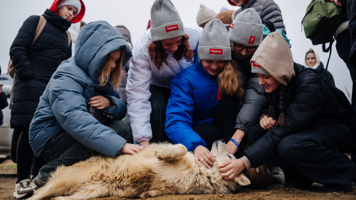 Открыта регистрация на Всероссийский добровольческий слёт Движения Первых