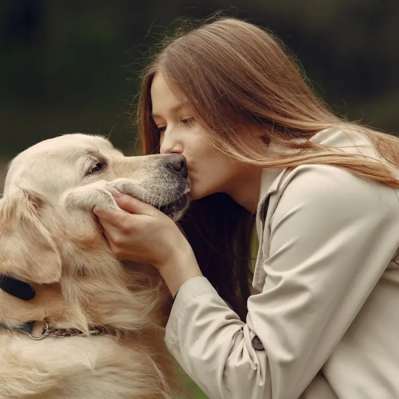 Феномен «собачников»: психолог объяснила, почему мы больше доверяем людям с питомцами