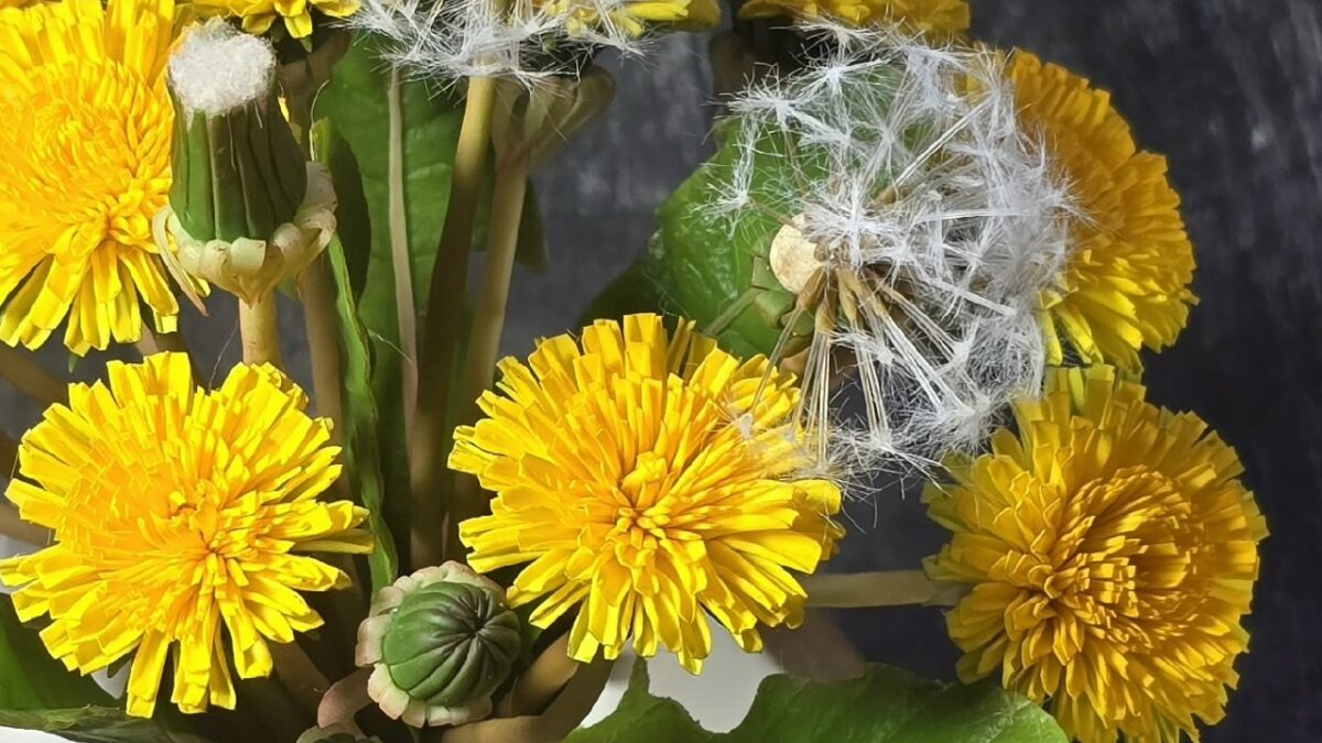 Алтайская мастерица создаёт цветы из холодного фарфора