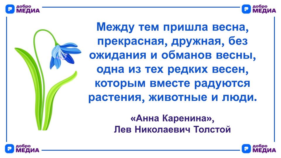 Цитата дня