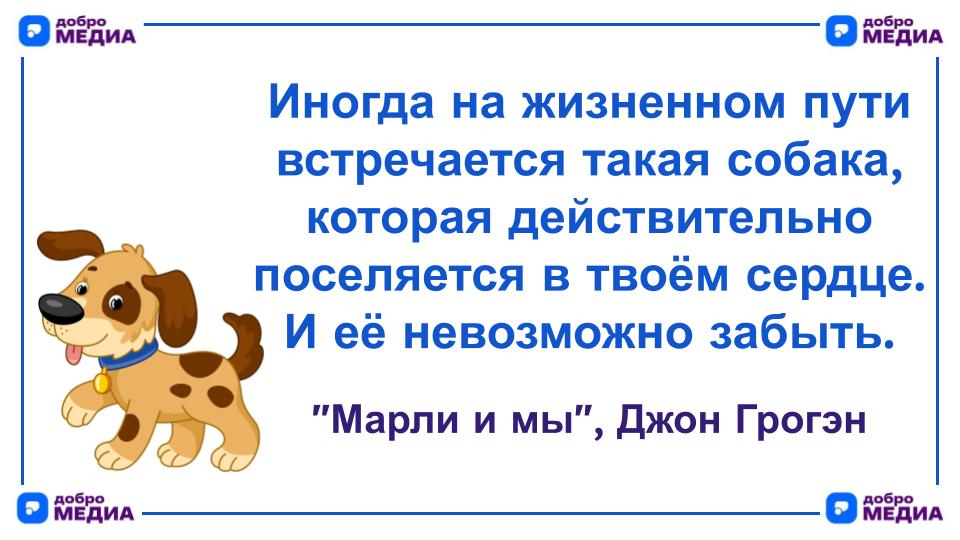 Цитата дня