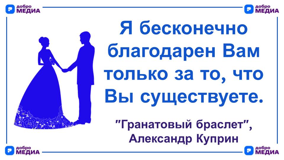 Цитата дня