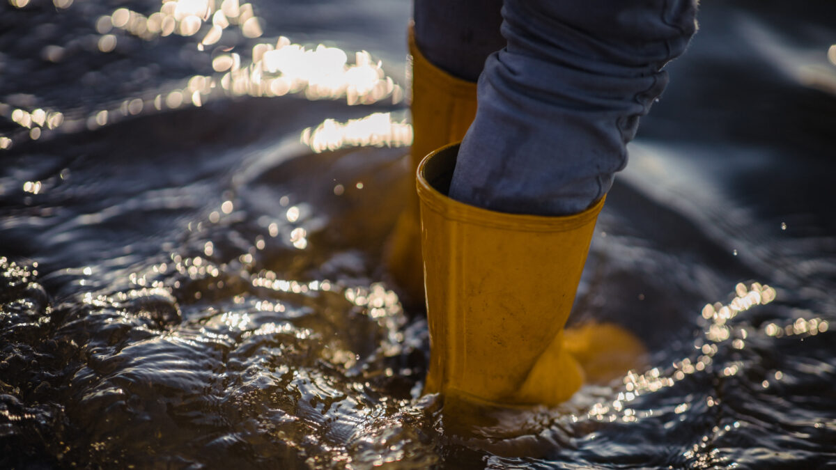 В каких городах России пройдут сильные паводки в 2026 году и в чём причина