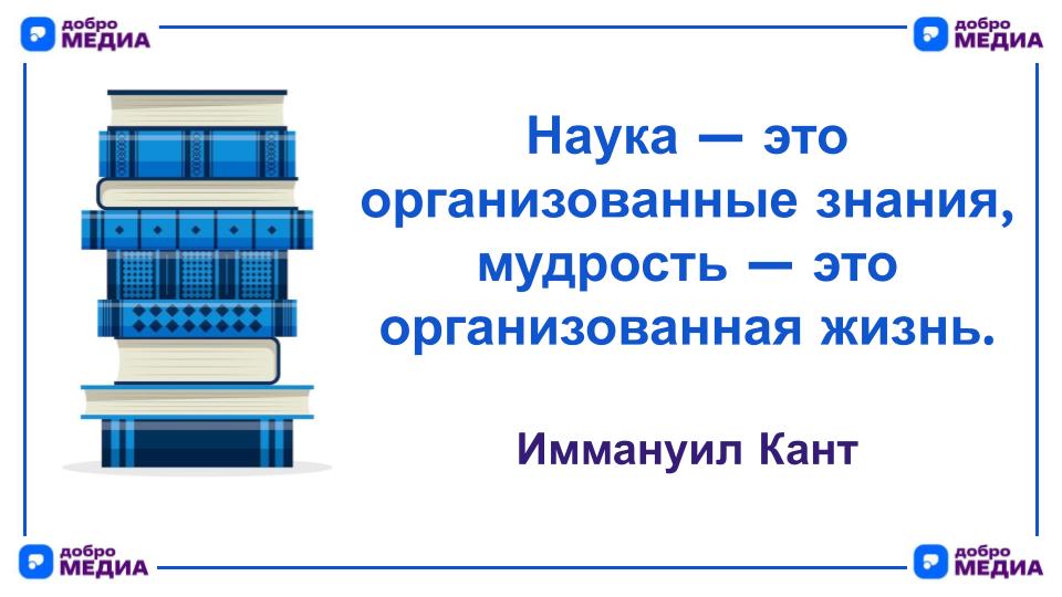 Цитата дня