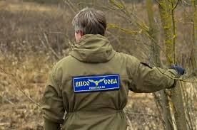 Волонтёрство без границ: как 15 минут в неделю меняют мир (и вас самих)