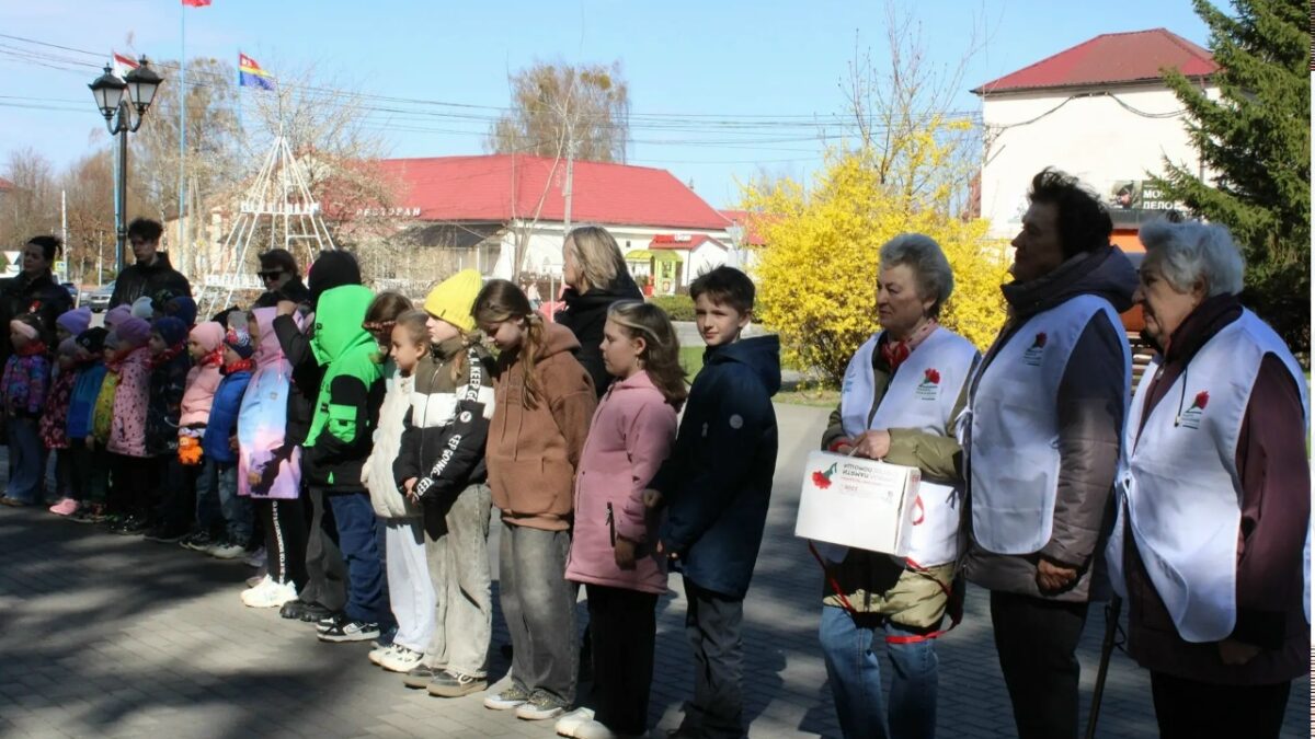 Всероссийская акция помощи ветеранам «Красная гвоздика» в Мамоновском городском округе