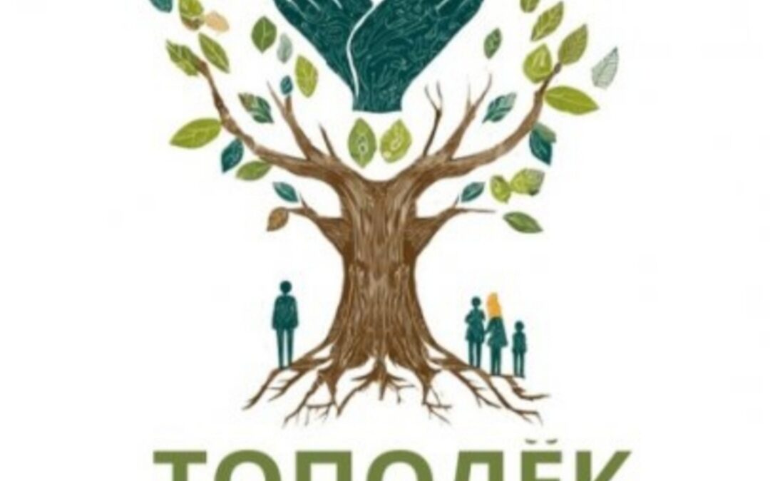 АНО » Тополек»