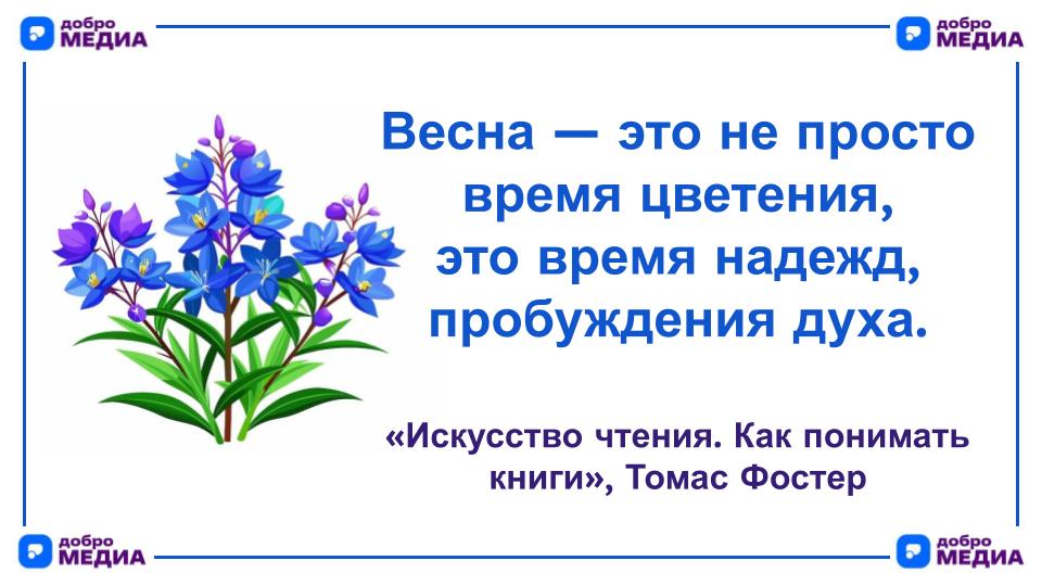 Цитата дня