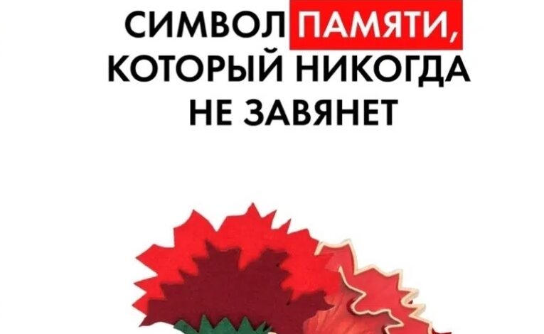 «Красная гвоздика» – всероссийская акция в помощь ветеранам стартовала