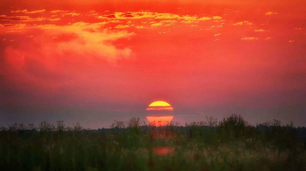 «Мы снова говорим — потому что есть о чём молчать нельзя»