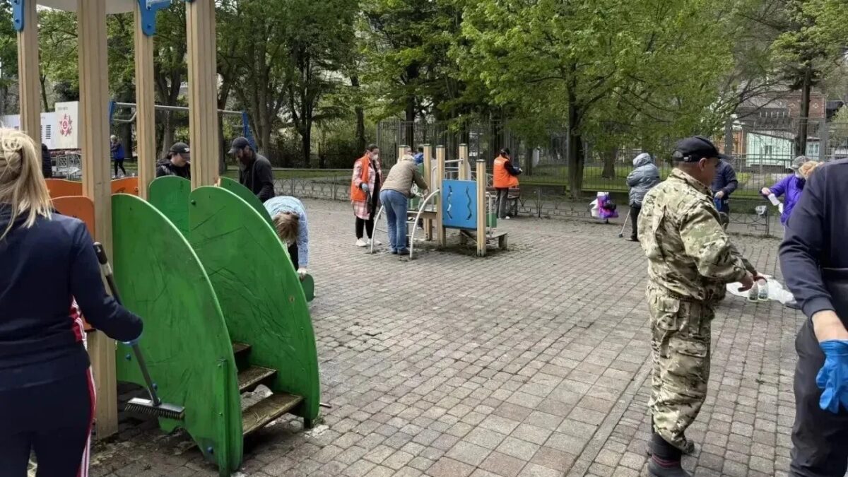 Разлив нефти в Туапсе: как помогает волонтёр в ЧС