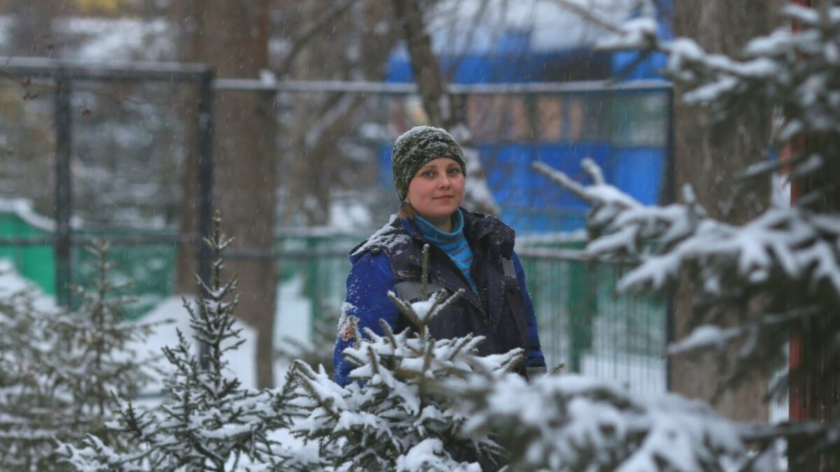 Собака Герда из Барнаула выхаживает отказников из зоопарка