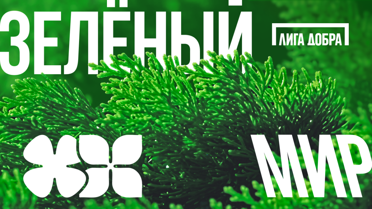 Там, где горит зелёный!