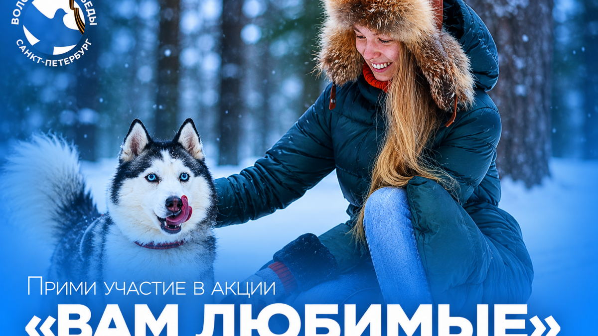 День памяти и скорби: тихие свечи и живые голоса