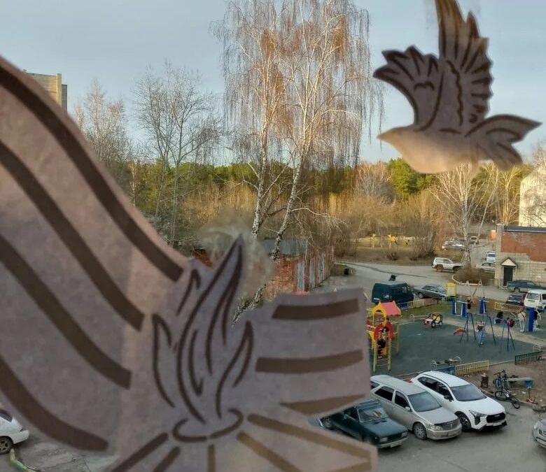 Летопись добровольца. Окна Победы