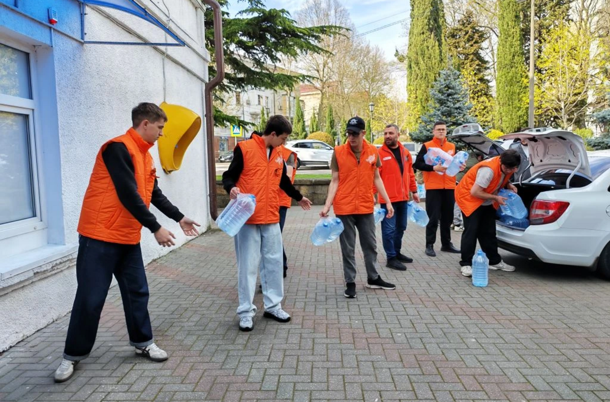 Как помочь животным в Туапсе во время ЧС: адреса, телефоны