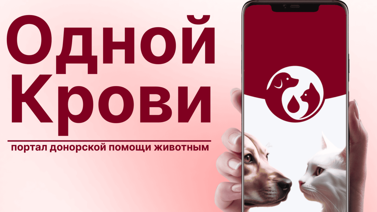 Теперь в России появилась единая платформа донорской помощи животным «Одной Крови»