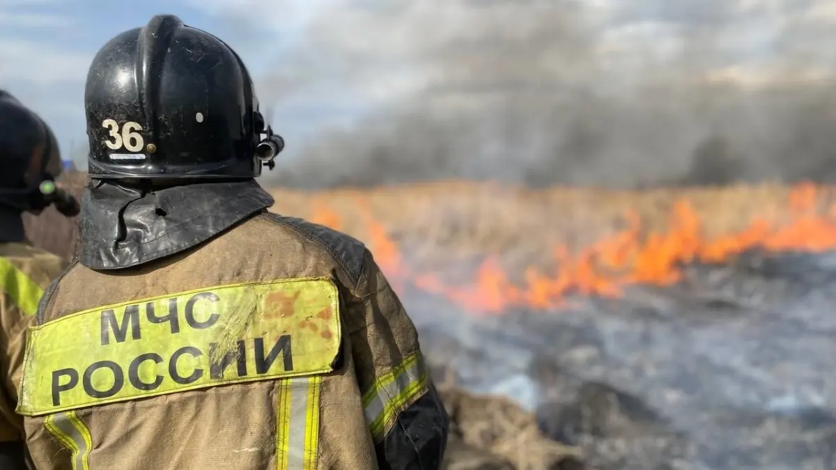 Что делать при лесном пожаре: куда звонить и как помочь? Подробная инструкция для каждой ситуации