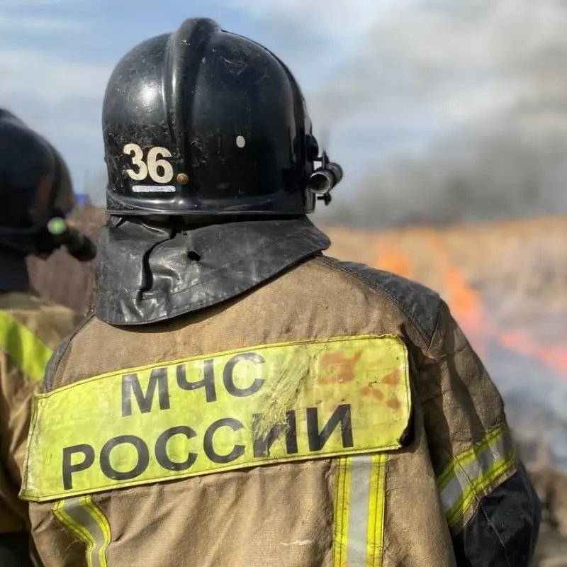 Что делать при лесном пожаре: куда звонить и как помочь? Подробная инструкция для каждой ситуации