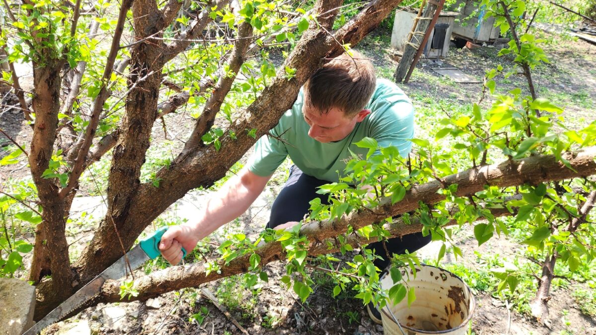 «Эстафета добрых дел»: как чашка чая и прикрученная полка становятся большой поддержкой