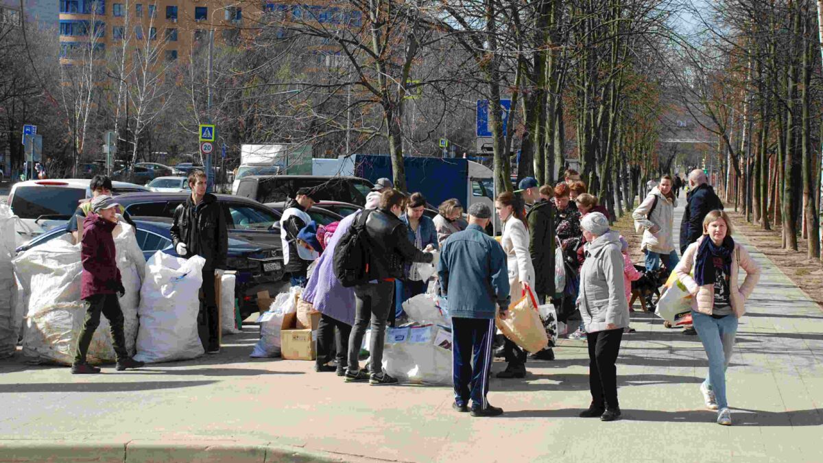 Как провести субботник или экоакцию в своём дворе