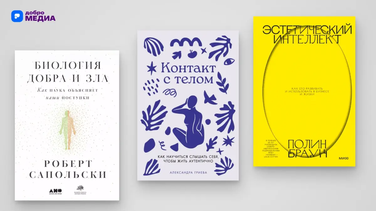 Самые полезные книги на все случаи жизни: от науки о мозге до историй о счастье – топ-10