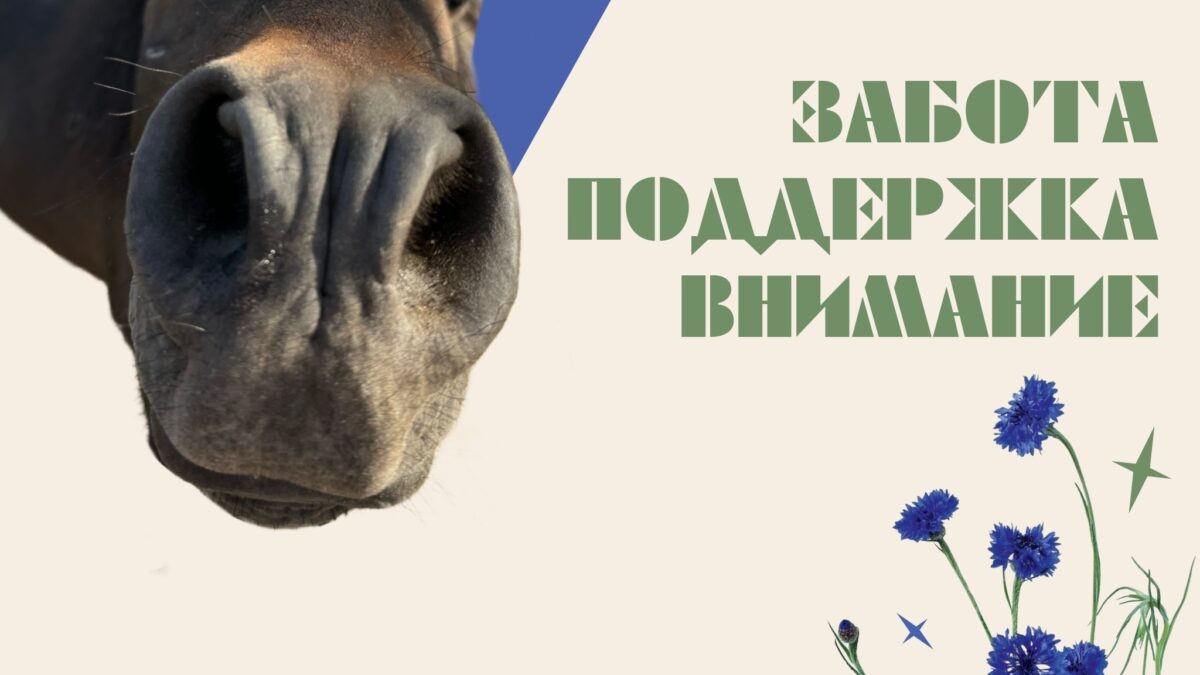 Когда забота становится делом: история Василька
