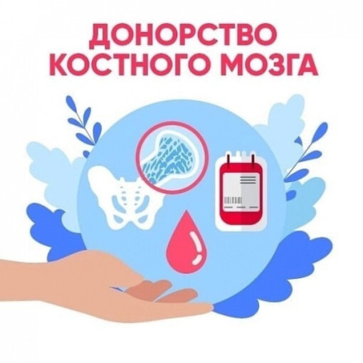 Сделай шаг к спасению жизней: как вступить в Регистр доноров костного мозга