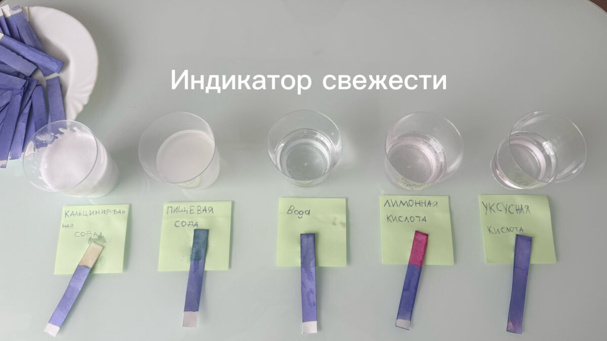 Индикатор свежести: моя история проекта