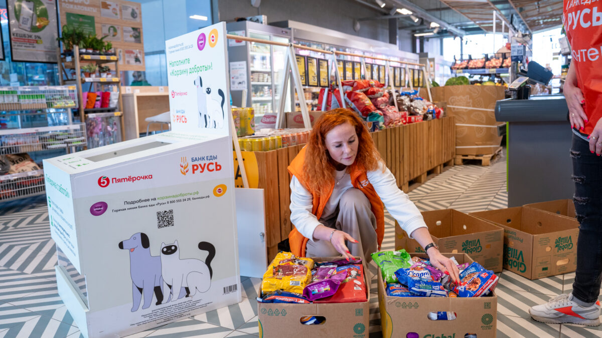 «Пятёрочка» увеличила на 25% объём помощи бездомным животным за первые 6 месяцев 2026 года
