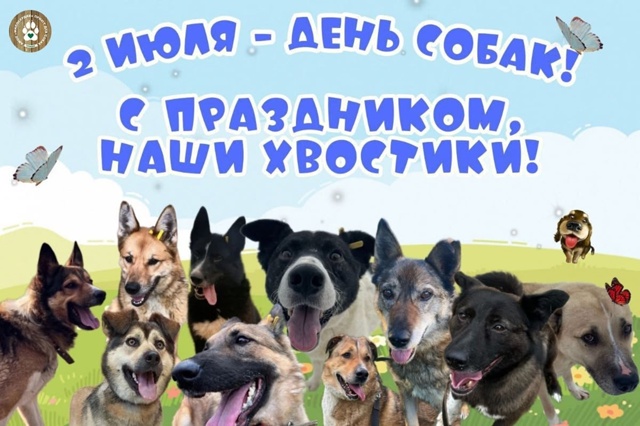 Взял собаку – взял ответственность: День верности