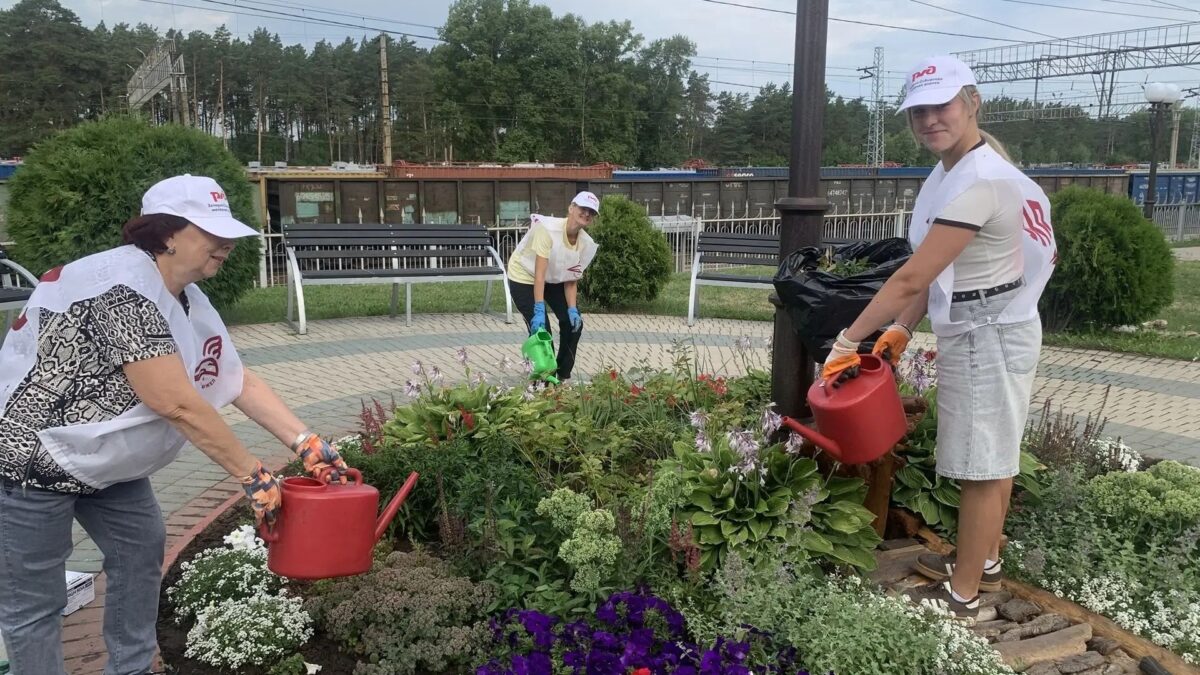 Сибирское добро. Создание цветочных композиций на территории ст. Сеятель