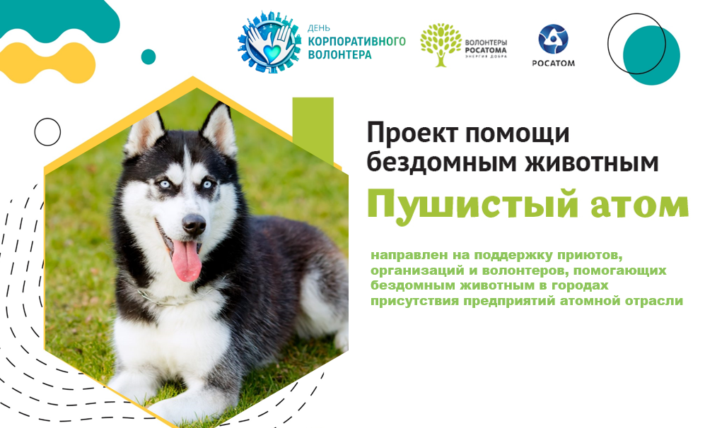 Воскресное утро с хвостиками