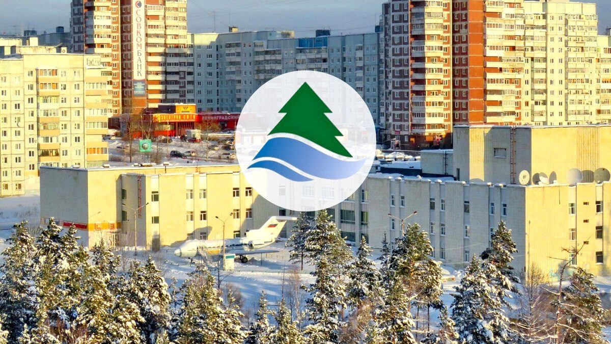 Мой путь в добровольчестве: от первых акций до участия в Премии #МЫВМЕСТЕ 2026