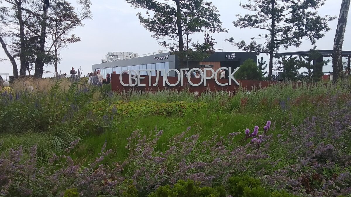 Голосящий «КиВиН» г. Светлогорск, 2026.