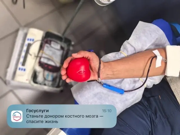 Донорство костного мозга
