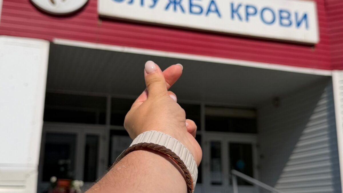 Моя 16-ая кроводача