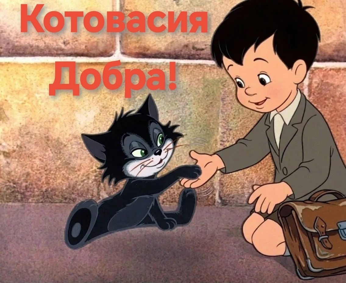 Как мы стали зооволонтерами.