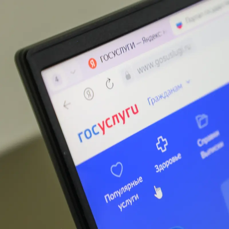 Льготы по карте «Мир» без справок: как подключить сервис на Госуслугах