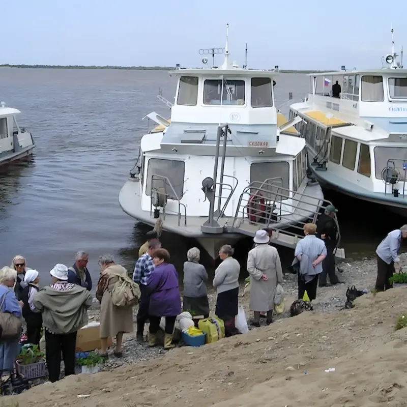 В Хабаровске ввели режим ЧС из-за паводка на Амуре – что делать при угрозе подтопления