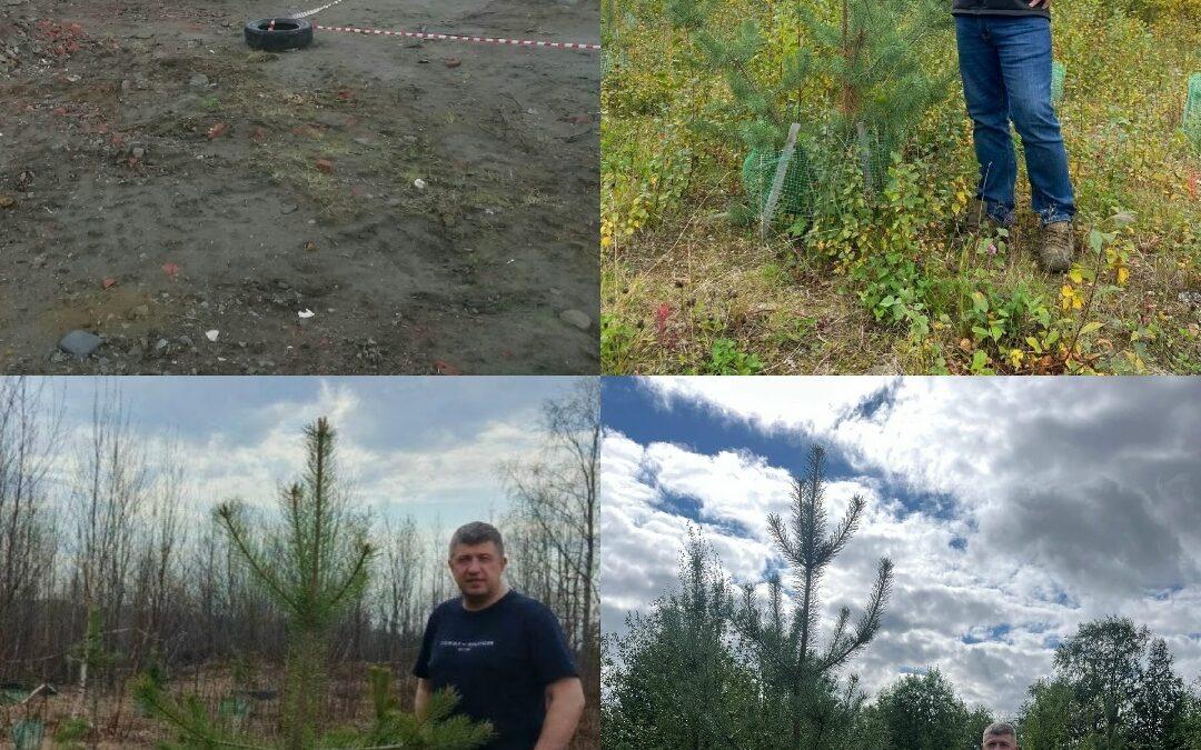 ЗЕЛЕНЫЙ КРУГ АДА. КАК СОГЛАСОВАНИЯ УБИВАЮТ ОЗЕЛЕНЕНИЕ