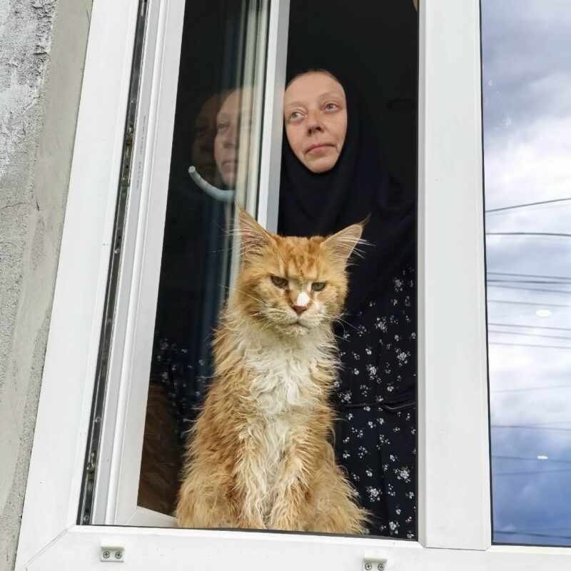 Монахиня Арсения из Задонска спасает бездомных животных