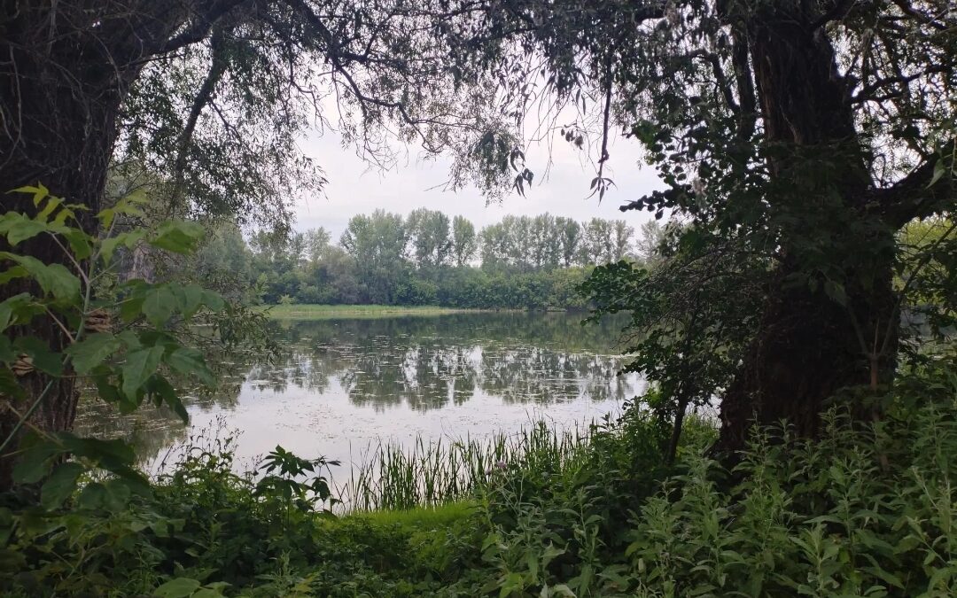 Лето на берегах истории: Озеро Костылево 🌿
