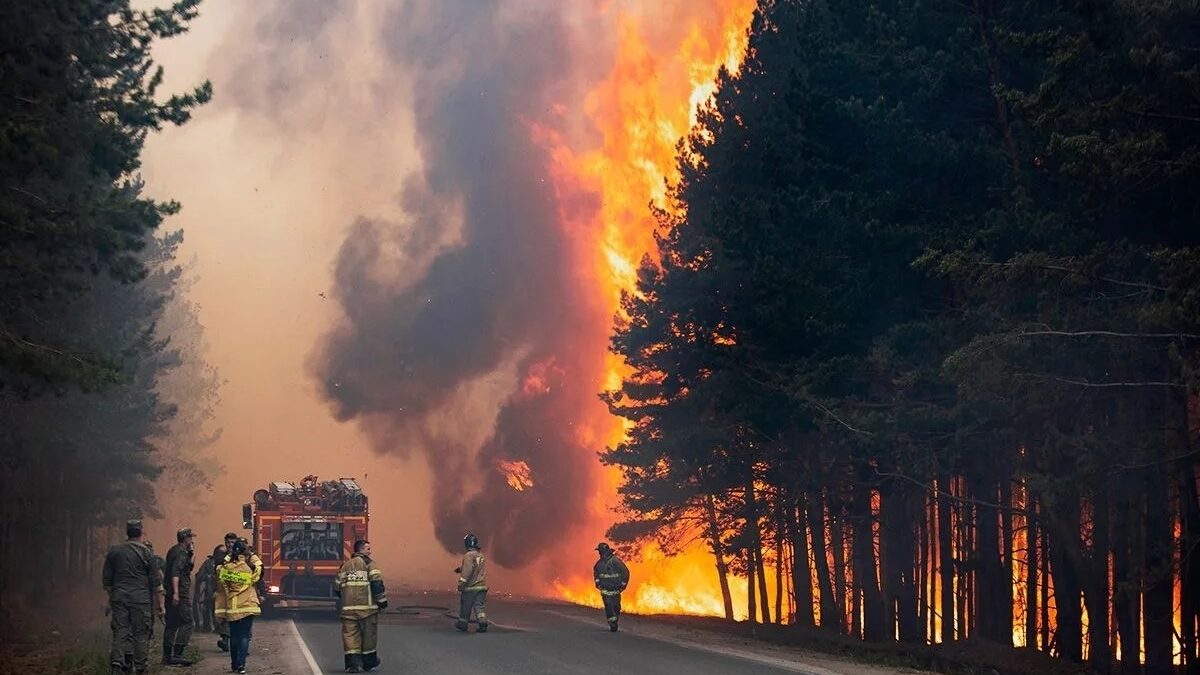 Огонь, которого могло не быть: почему пожары — это не только про жару 🌳🔥