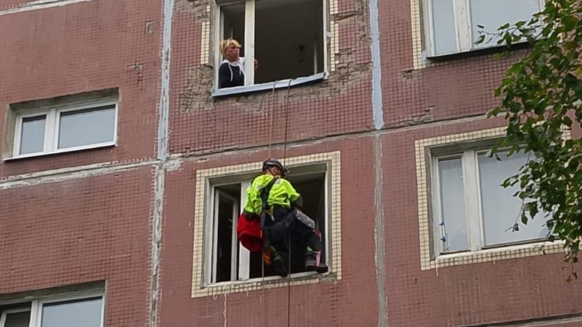Спасли кошку, запертую в квартире умершей хозяйки, волонтёры
