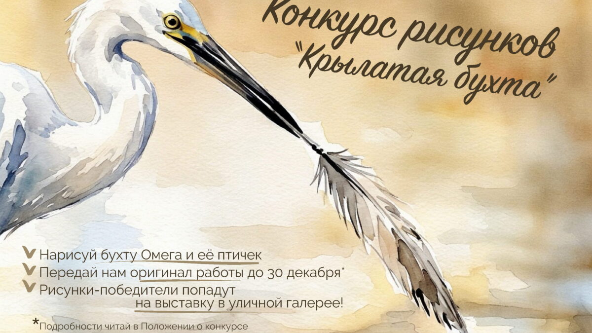 И пусть весь город рисует птиц! В Севастополе стартовал конкурс рисунка «Крылатая бухта»